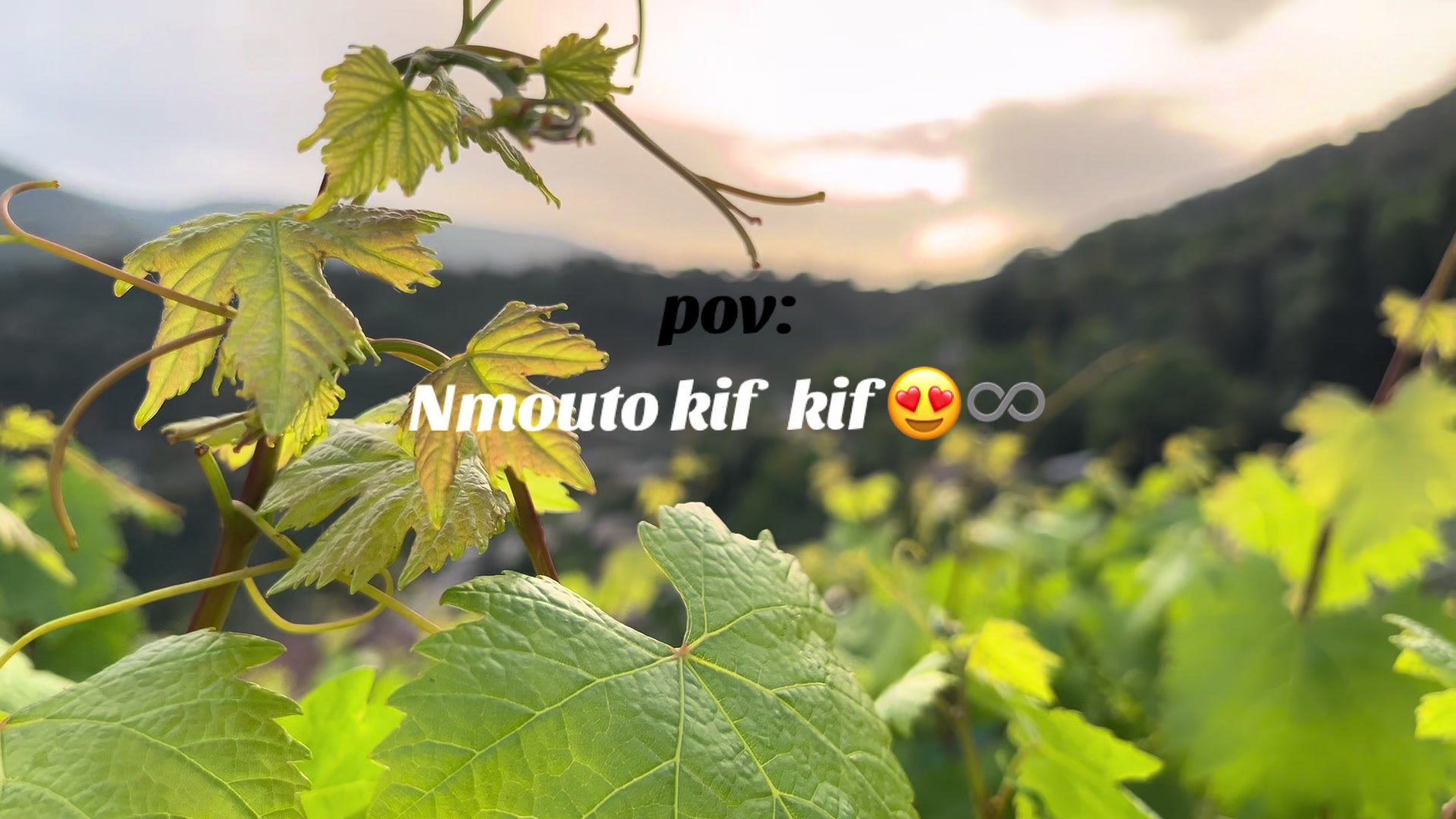 @Â๐ชผ