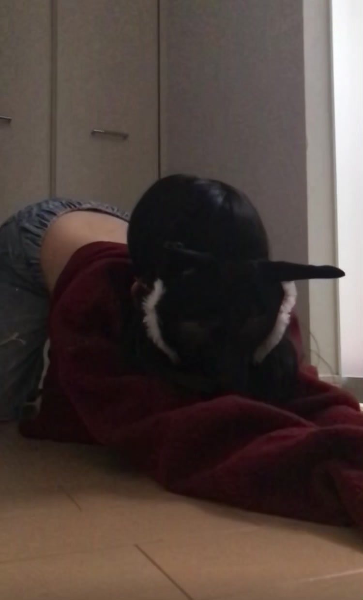 @🍾✷..♱ᗰᗩྀIྀི⸝⸝🎞✶