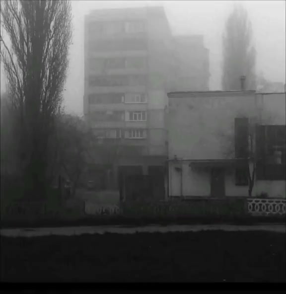 @Wertexs)