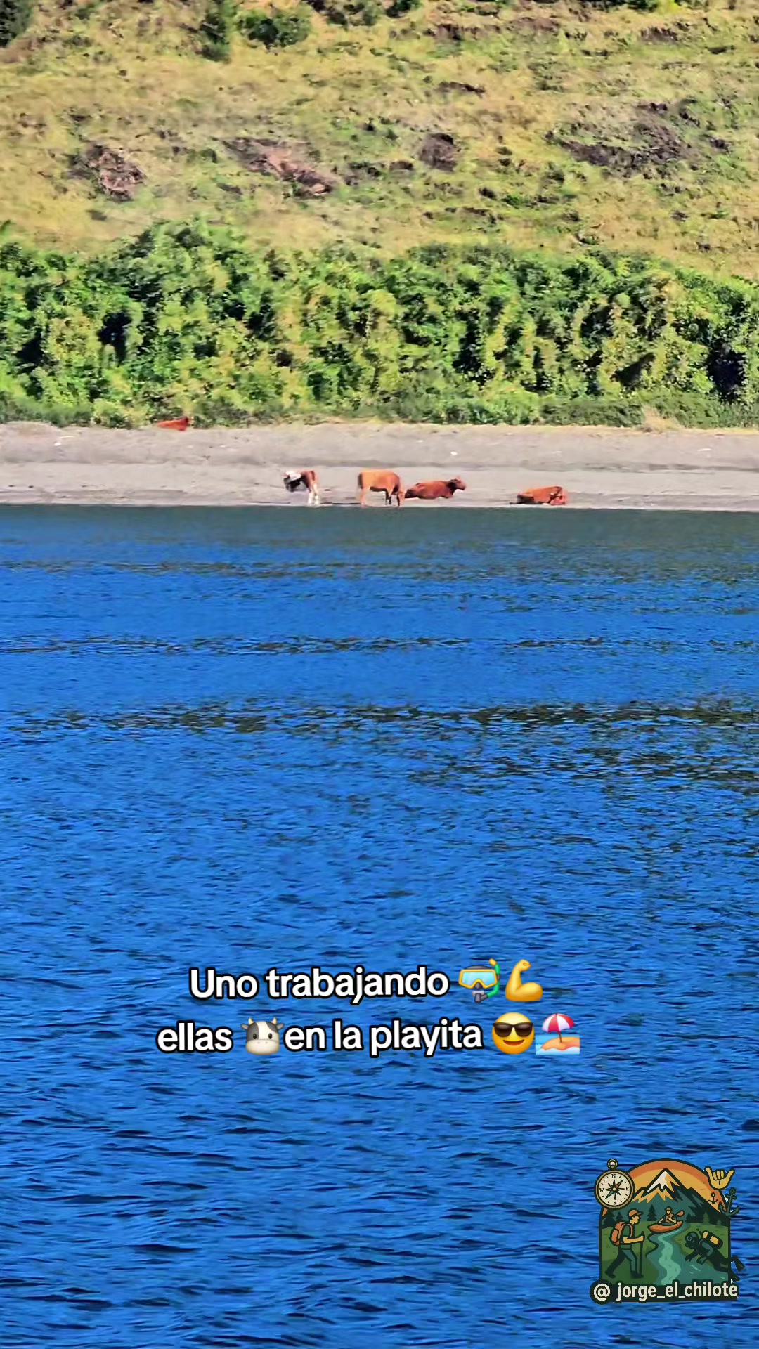 @jorge_el_chilote