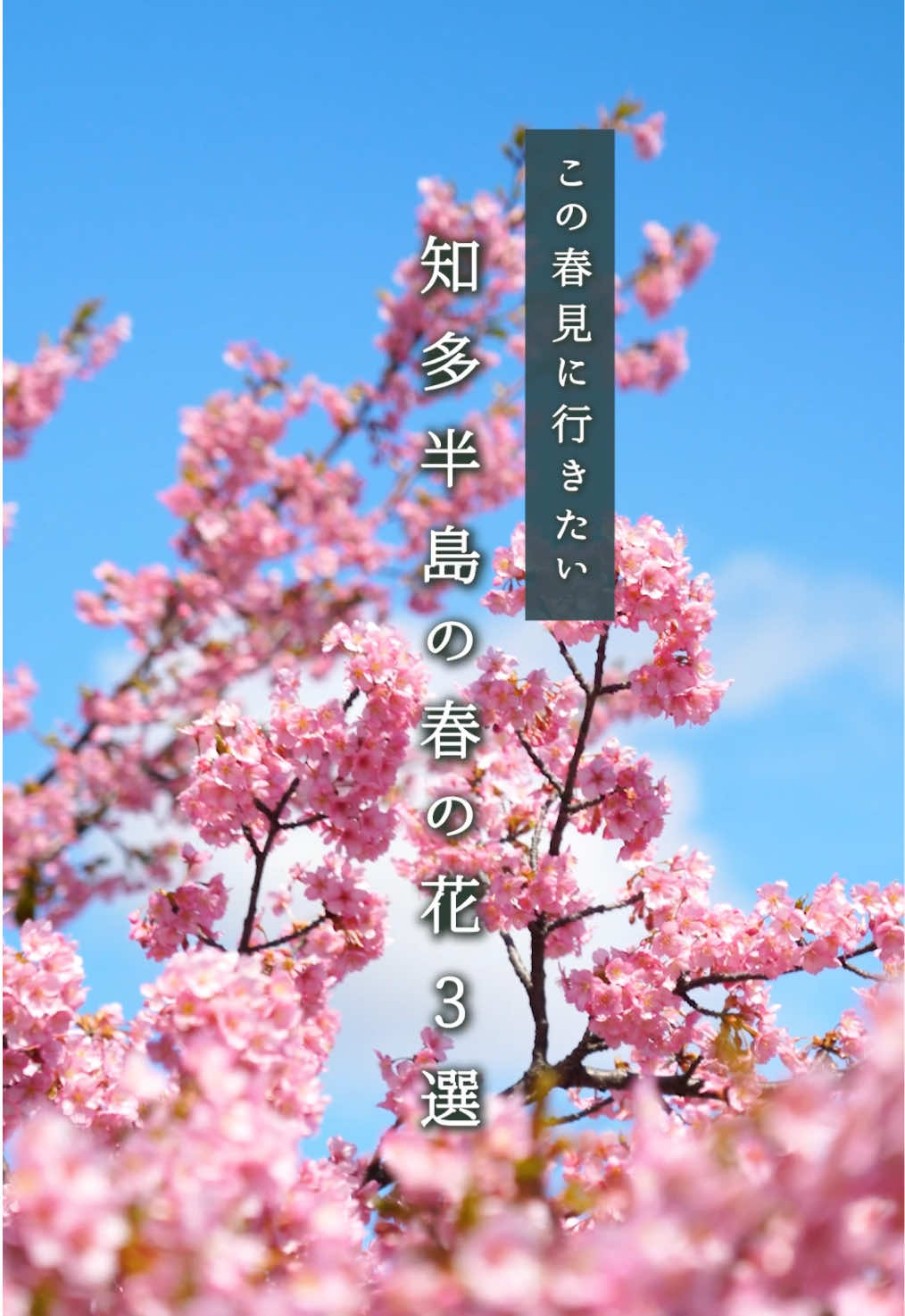@ちたたび🦘愛知で遊ぶなら知多へ行こう