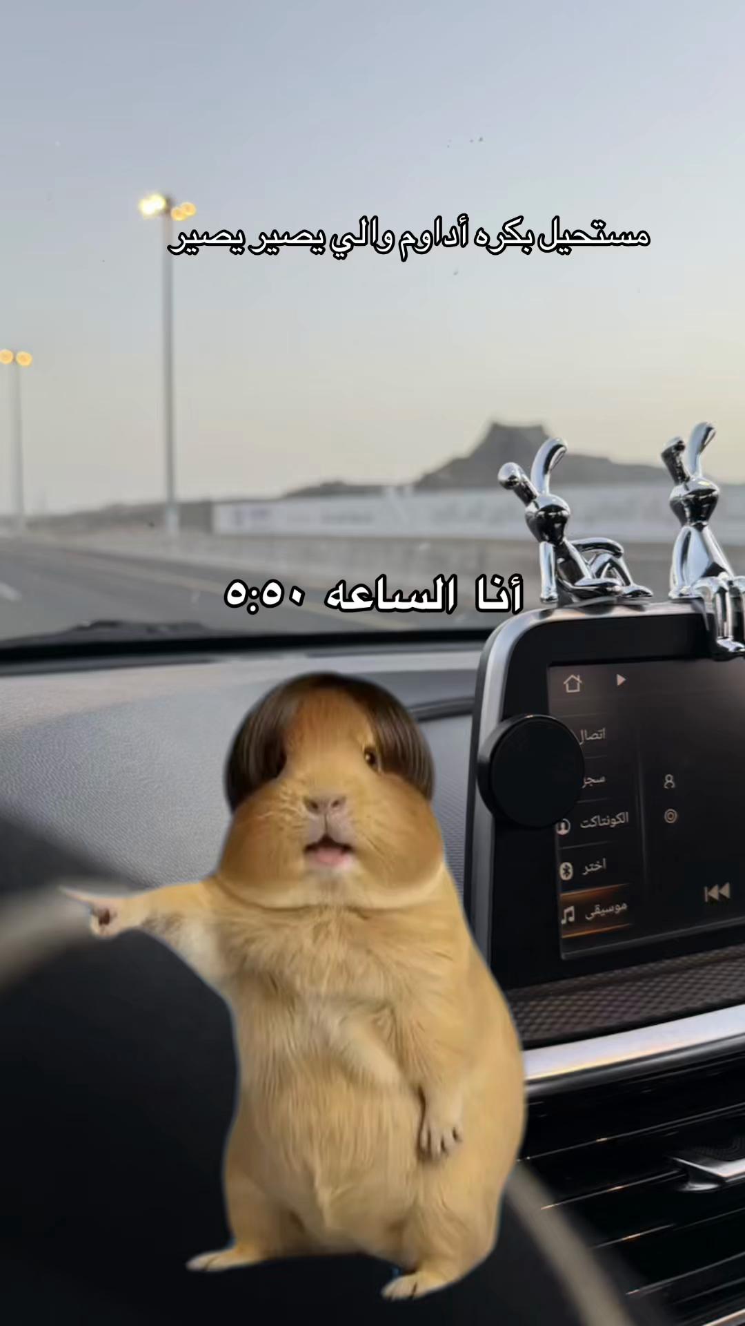 @joj