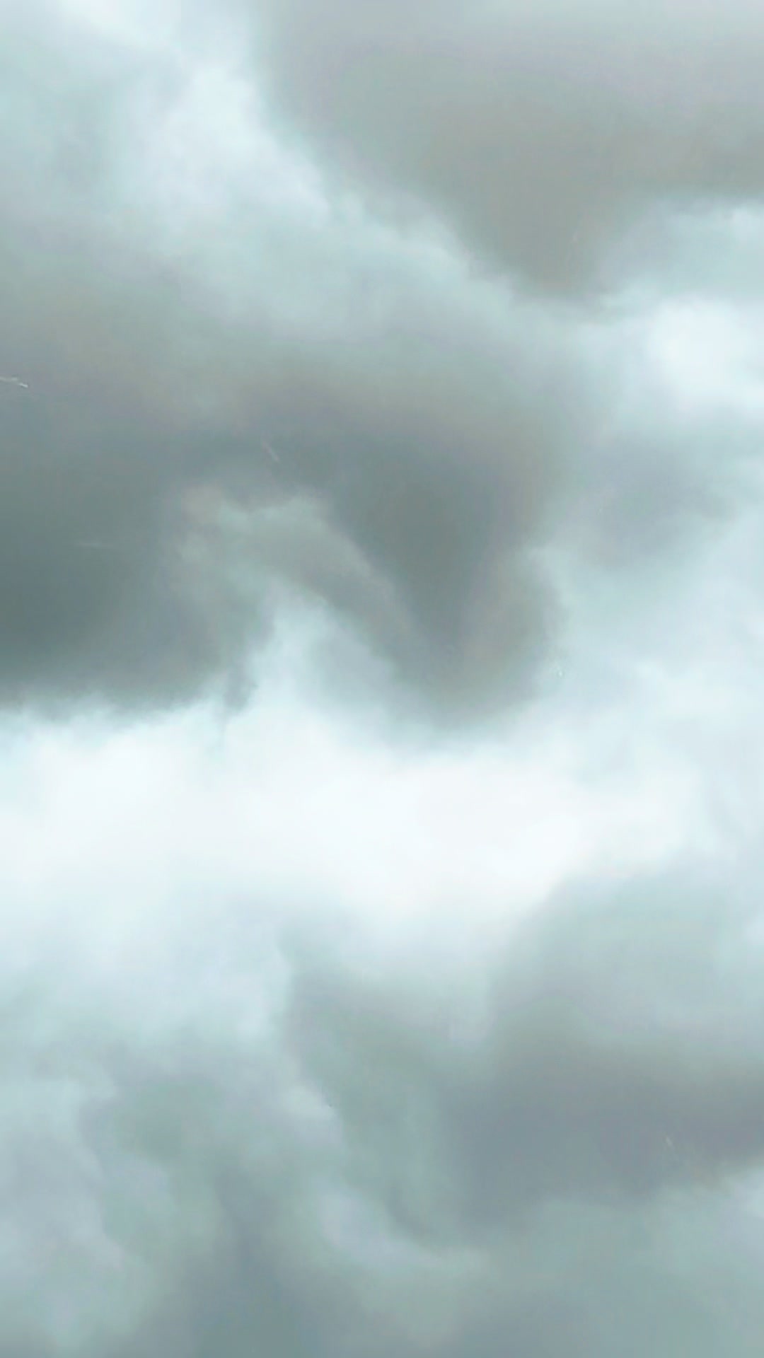 @جبران على__~