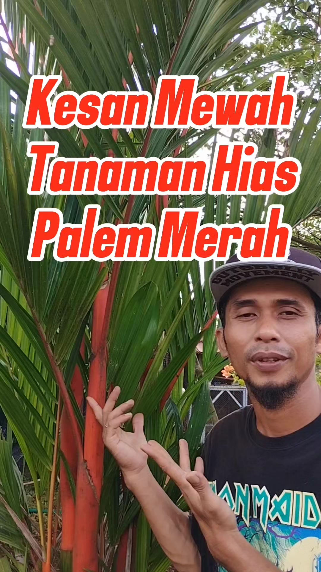@Bukit Farming