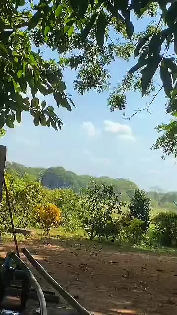 @#IvanGarcia✨