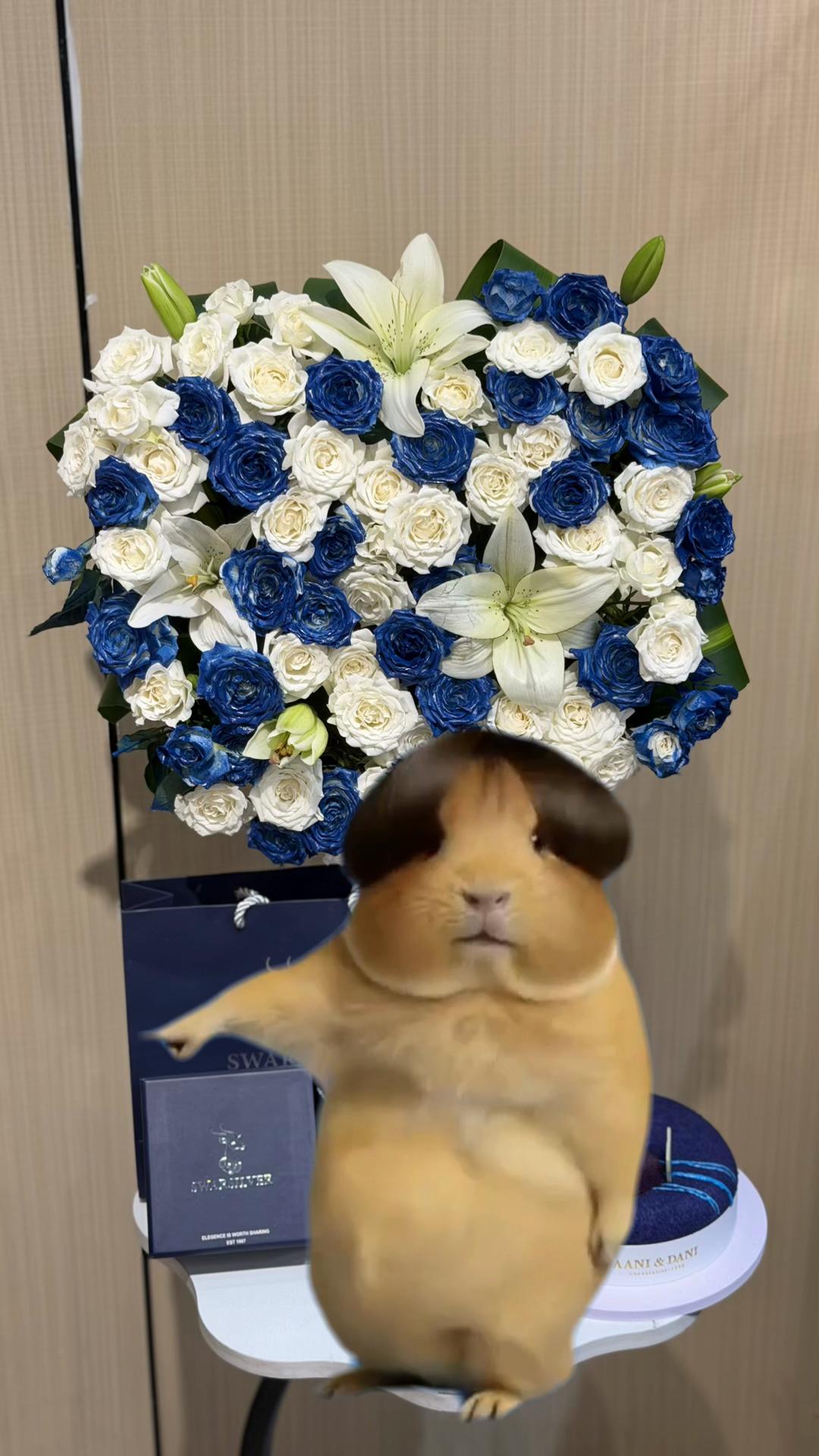 @هدايا خميس مشيط