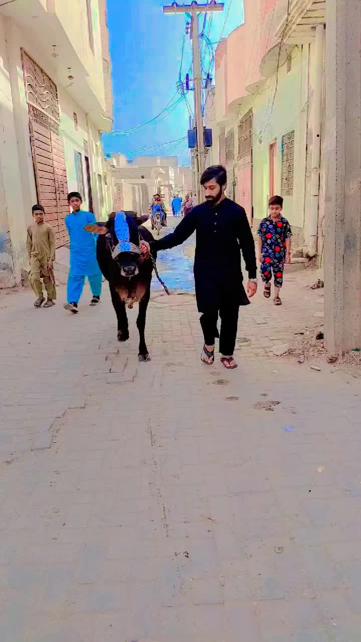 @👑🅰🆂🅰🅳 🆃🅰🆁🅸🆀😍