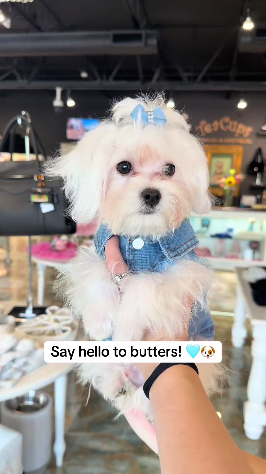 @TeaCups, Puppies & Boutique &reg;️