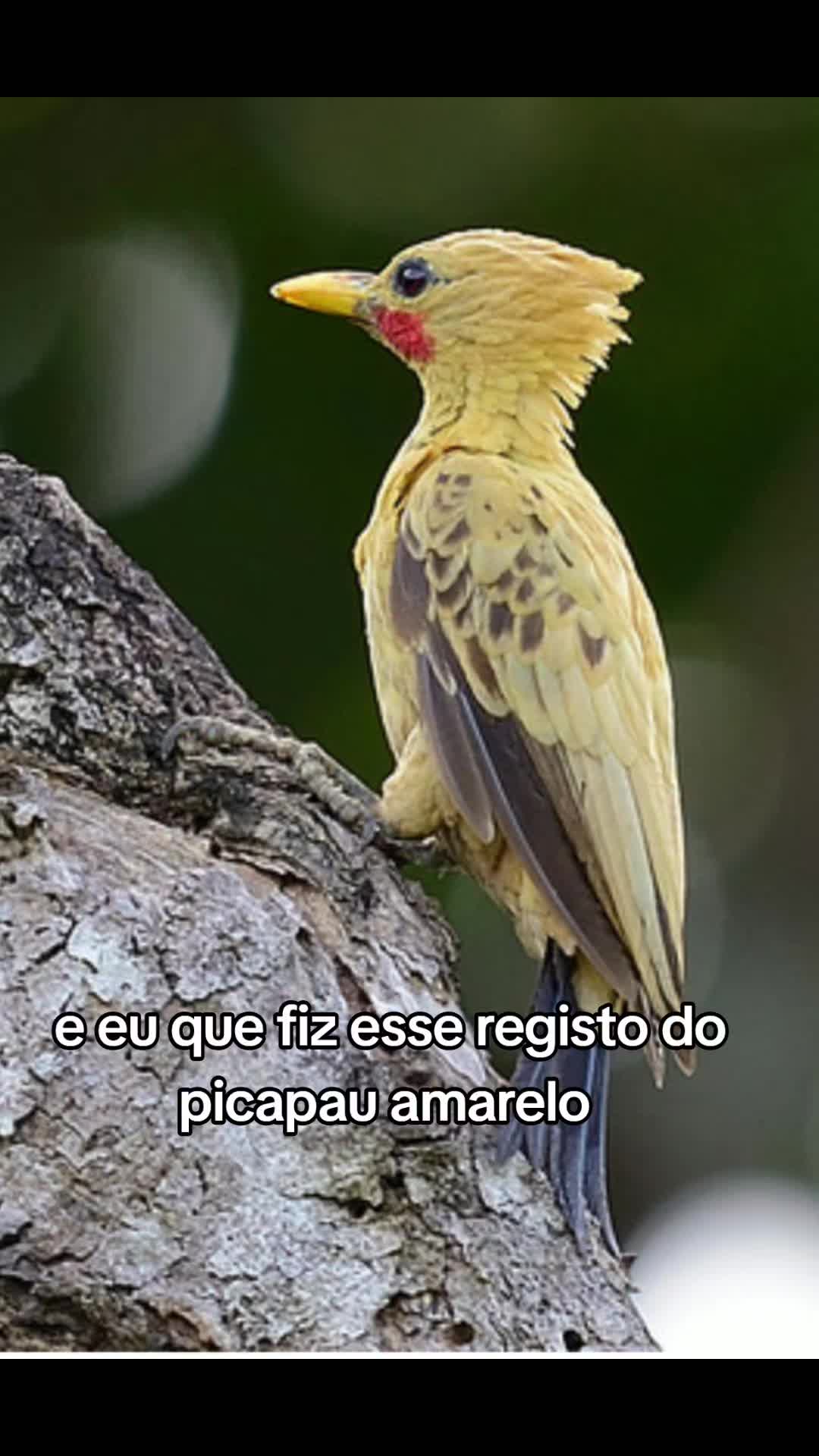 @jheffplay7