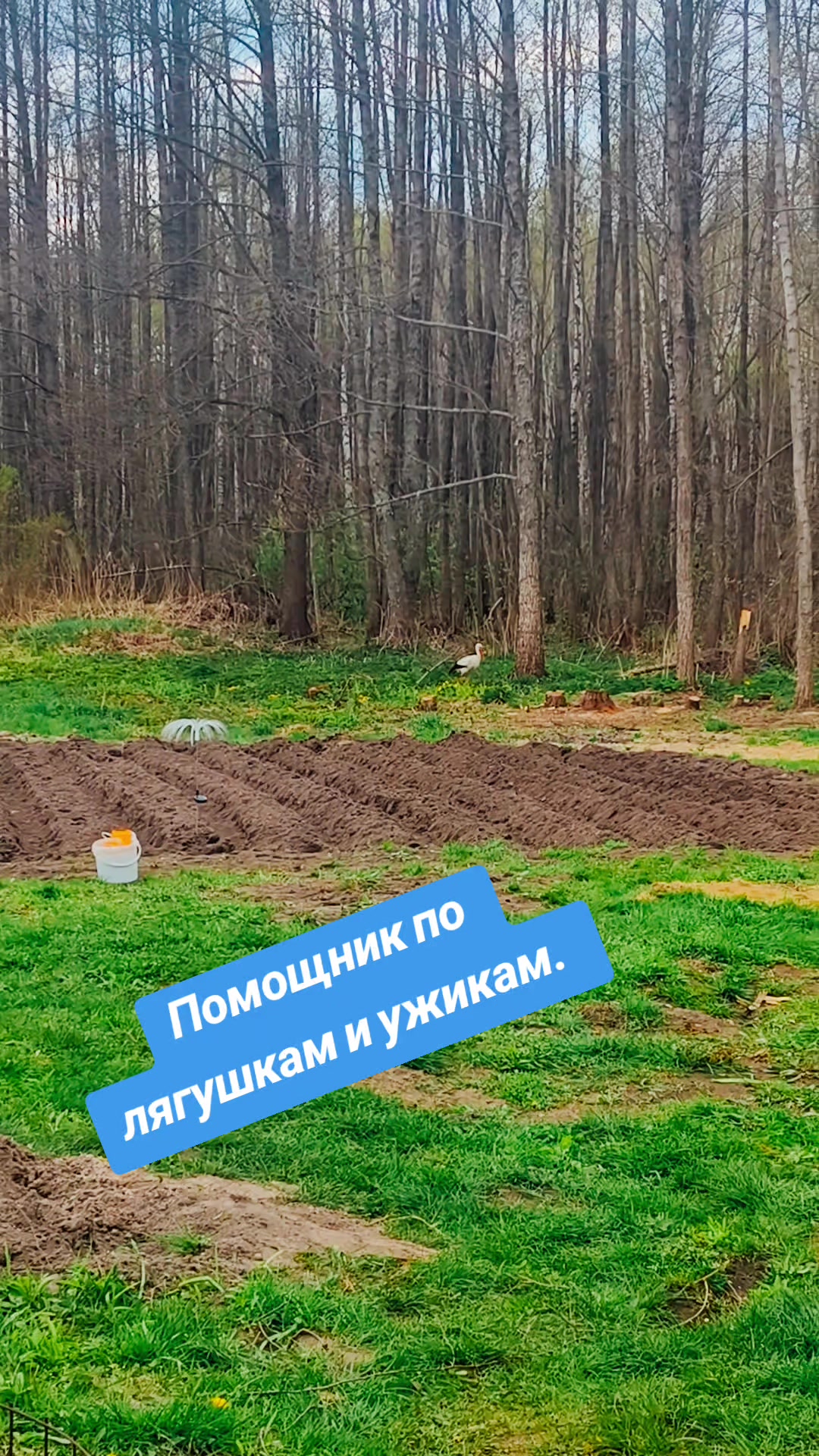 @🇧🇾🀄Alena and Tenshi🀄🇧🇾