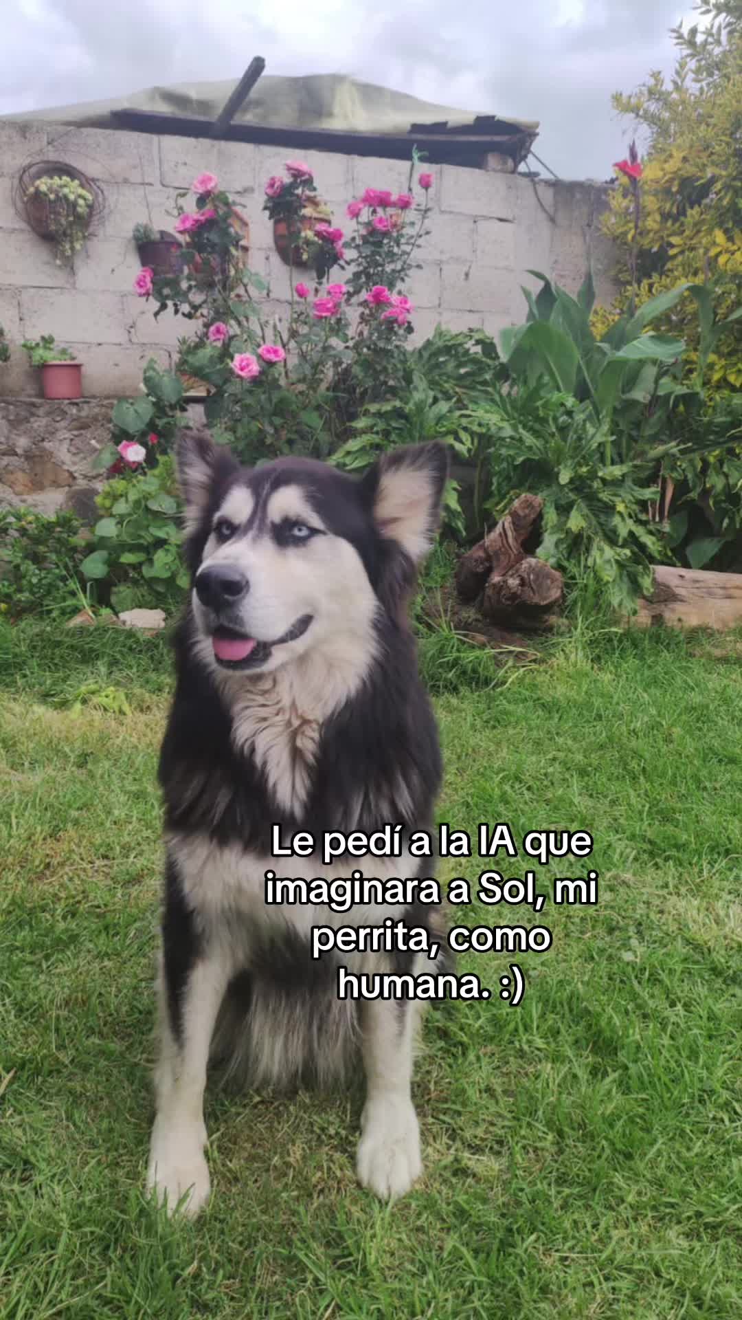 @jesus rafael contrer
