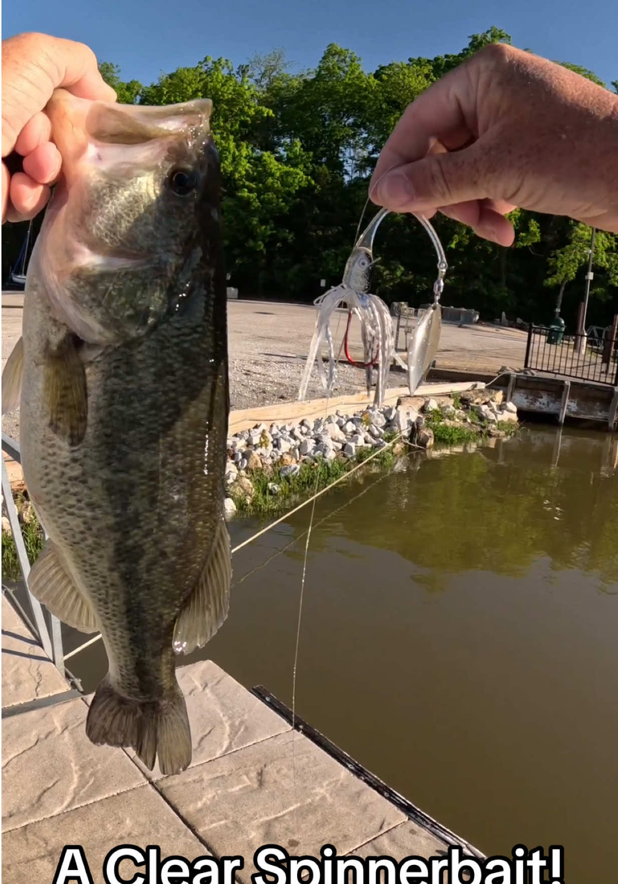 @Tacklehead Fishing