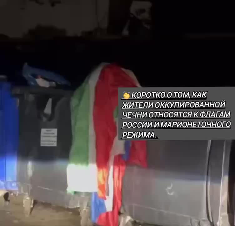 @Chp_kavkazz           🔹️