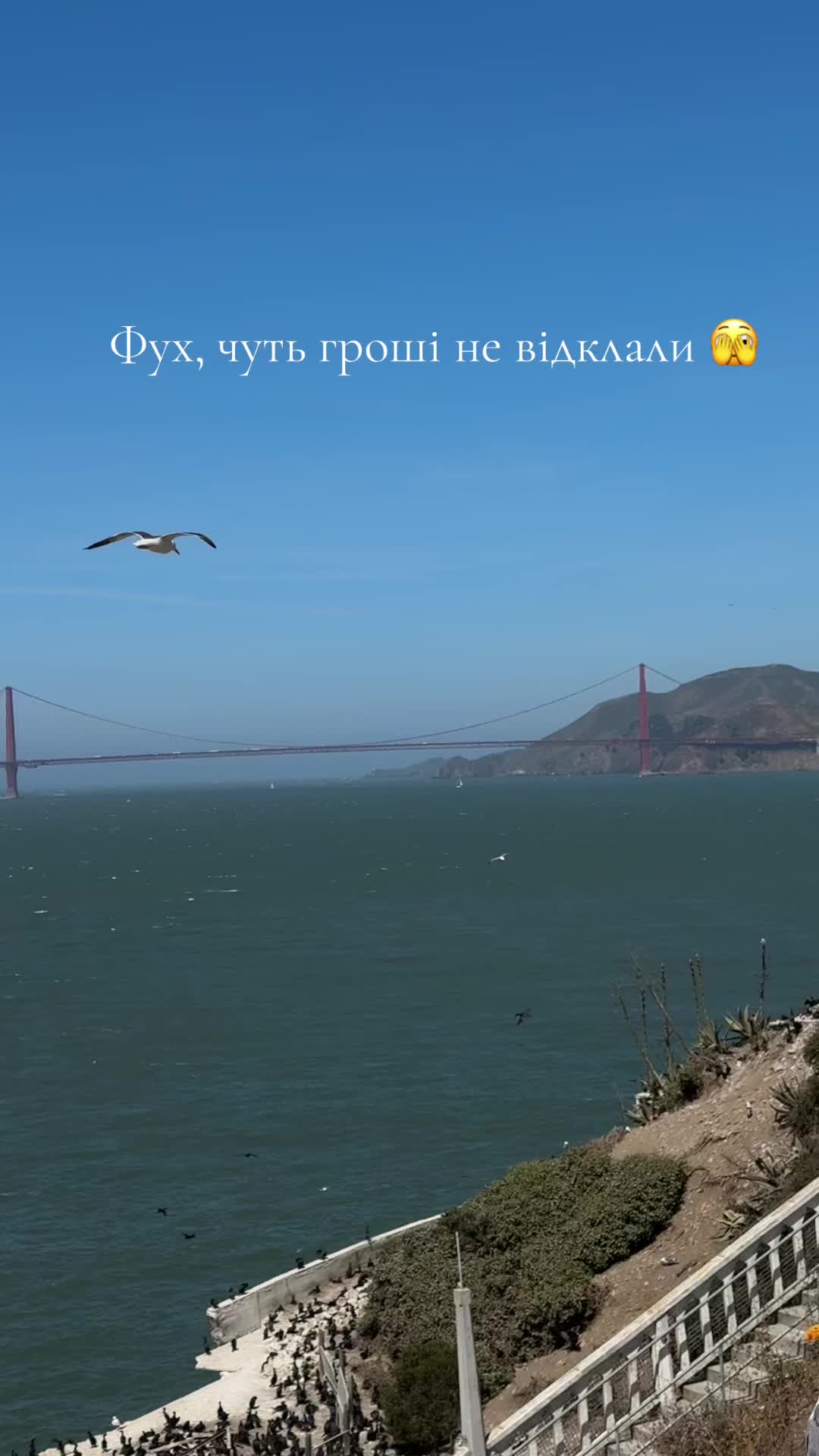 @Inna Bodnaryuk