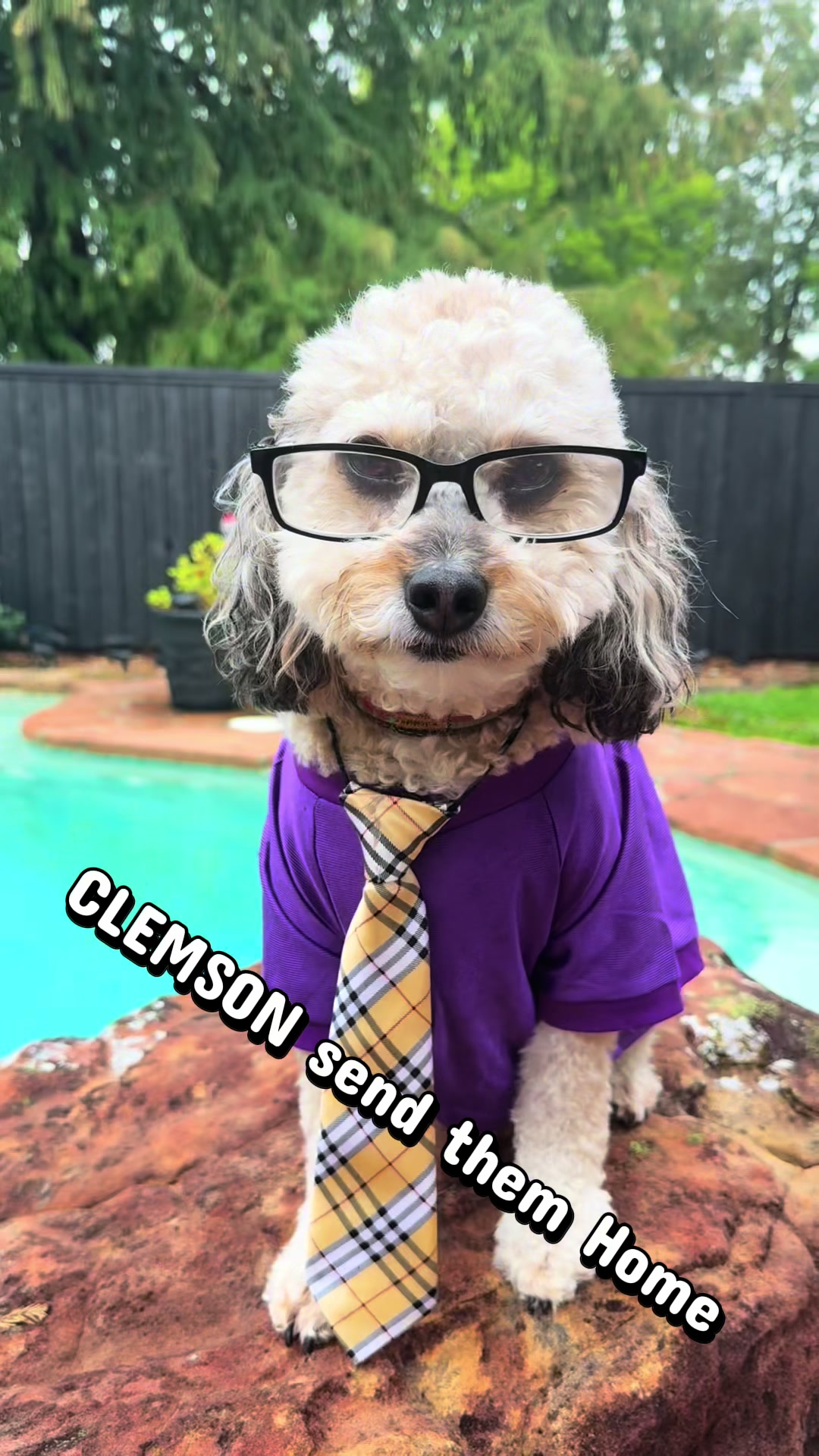 @bigdoodleandlittledoodle