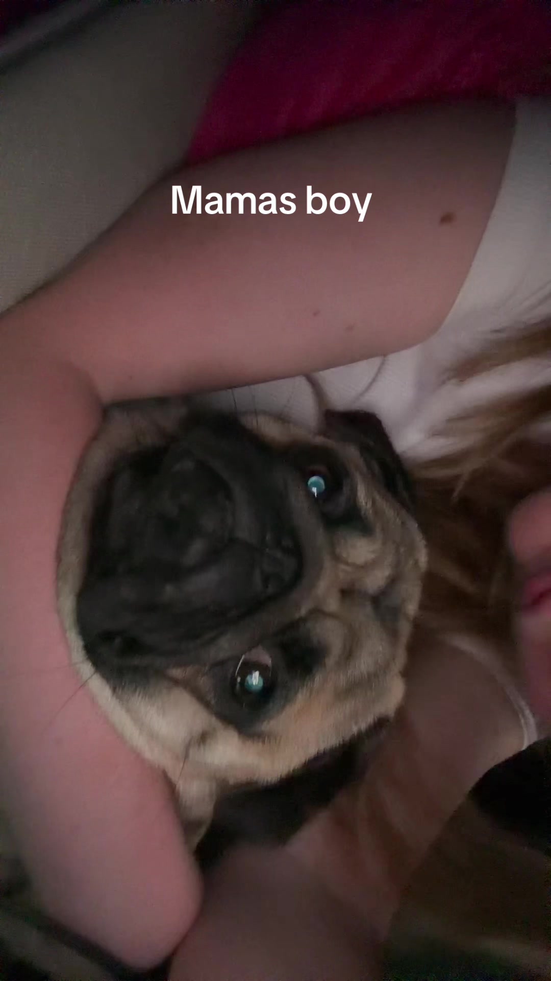 @thewinterpug