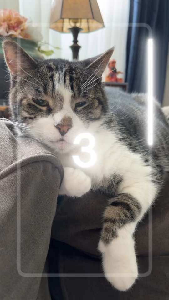 @C