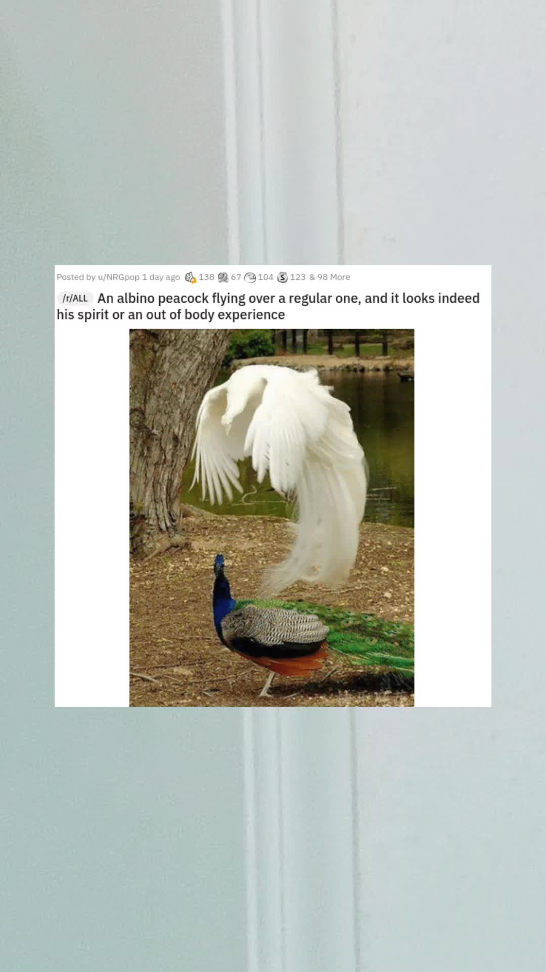 @coolfacts