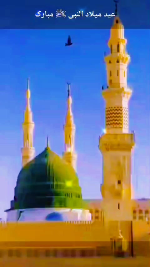 @محمد شفیق