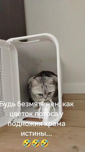 @Александр