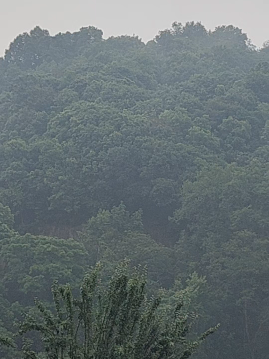 @Subodhraj Serpali🇳🇵