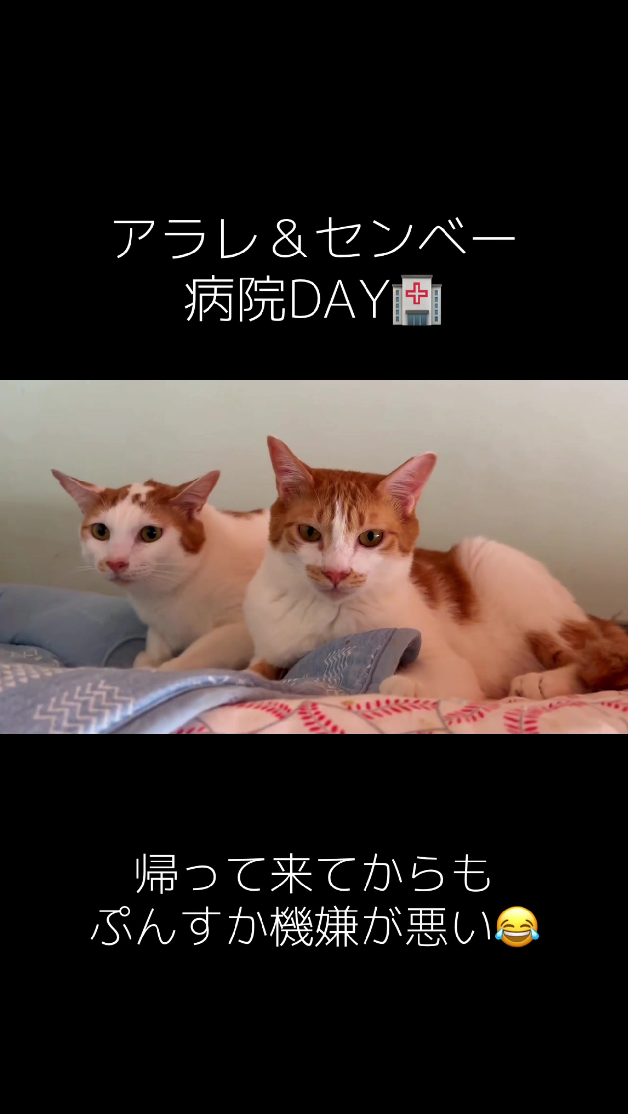 @らっくら家