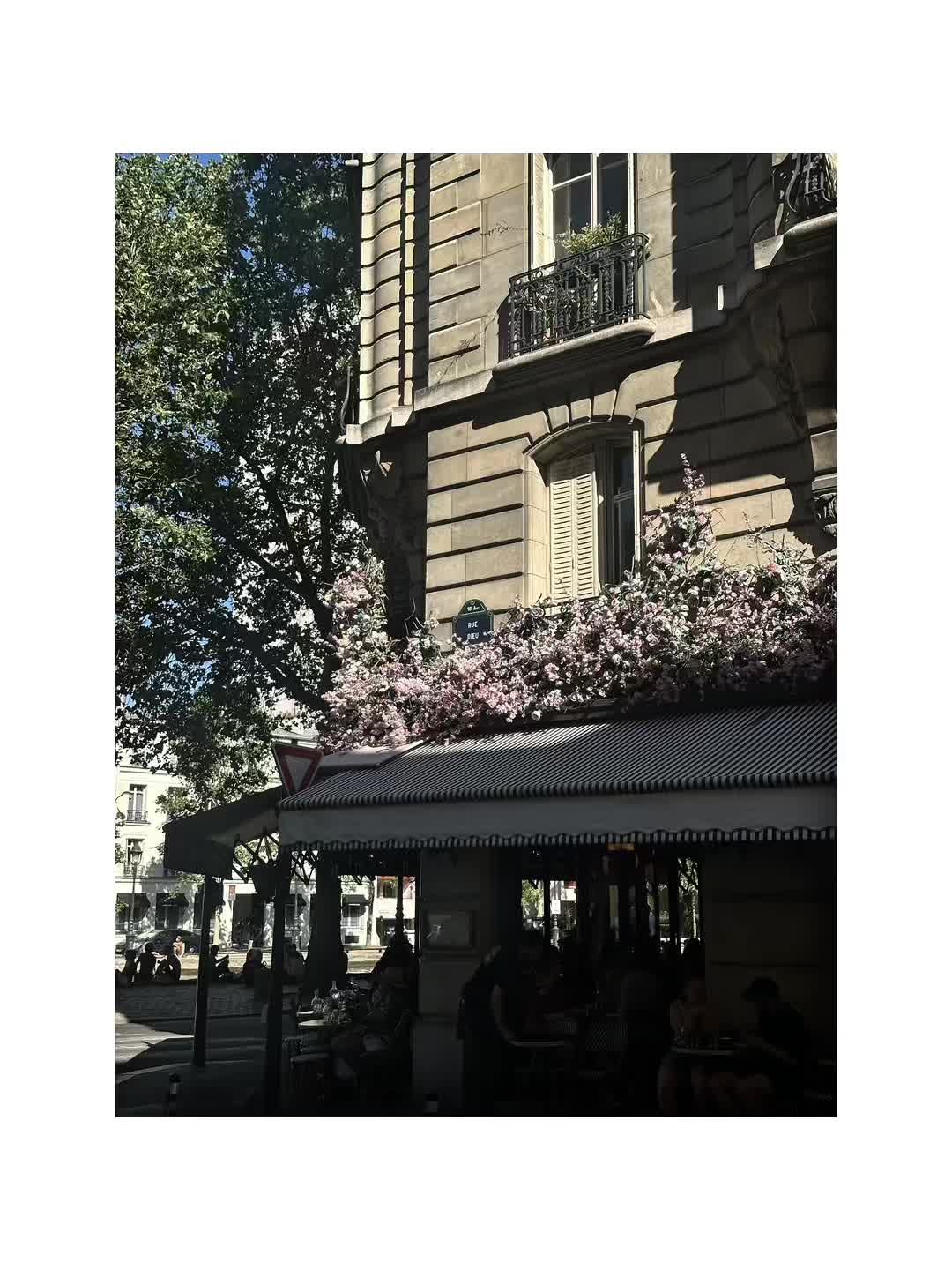@поляна