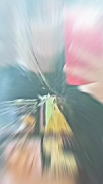 @mayara_ofca🦋