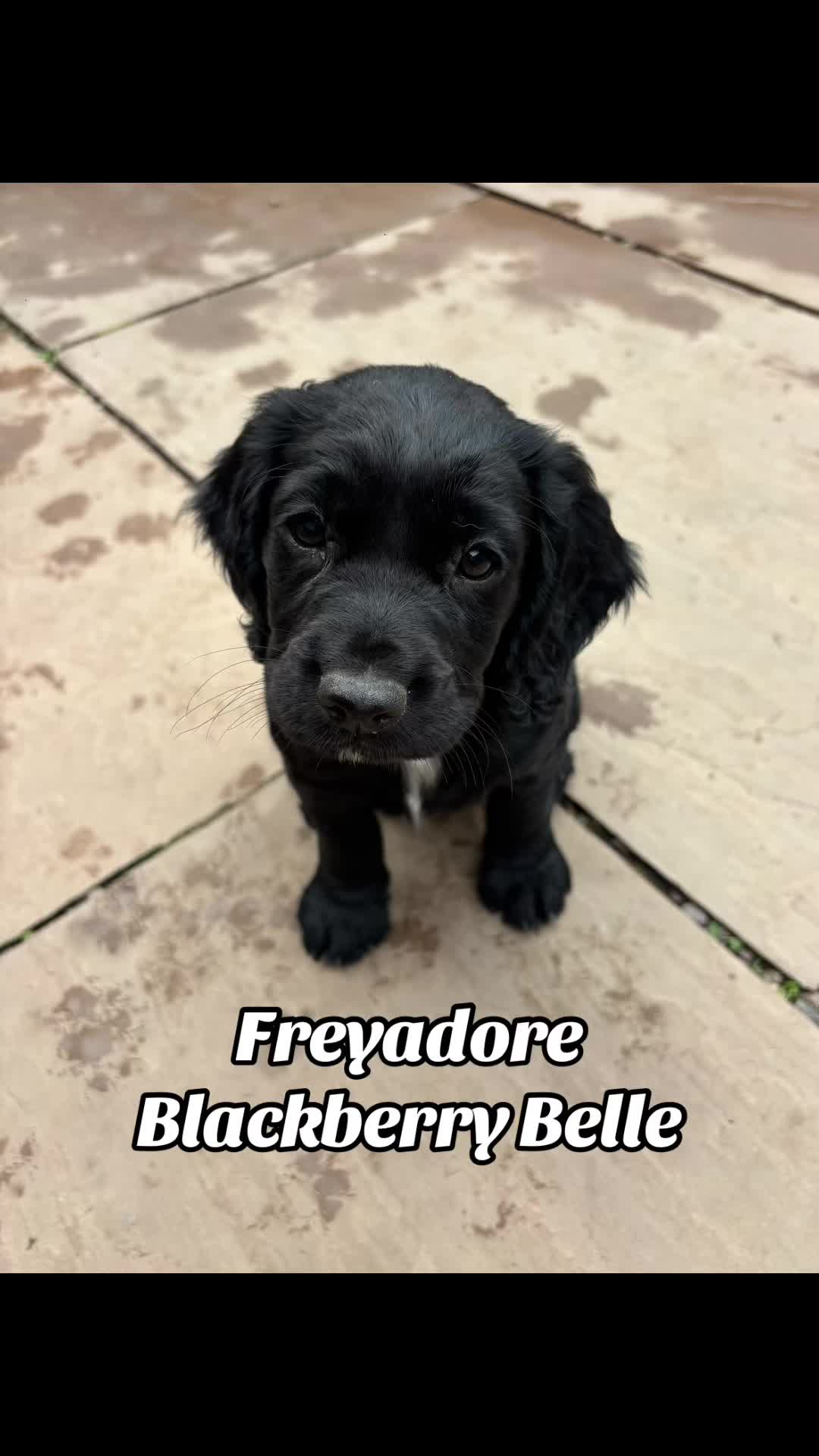 @Freyadore Cumbria