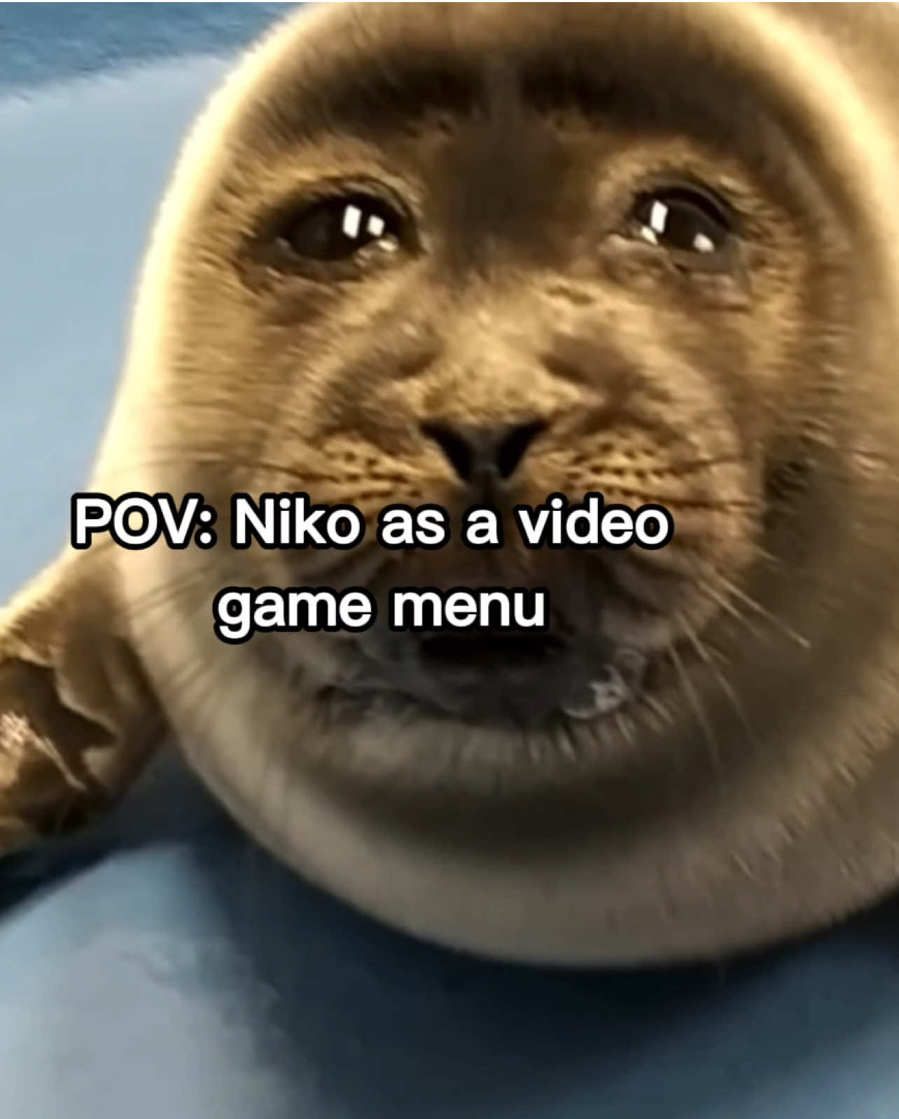 @seal lover 🦭⋆˚꩜。⋆˚🩵