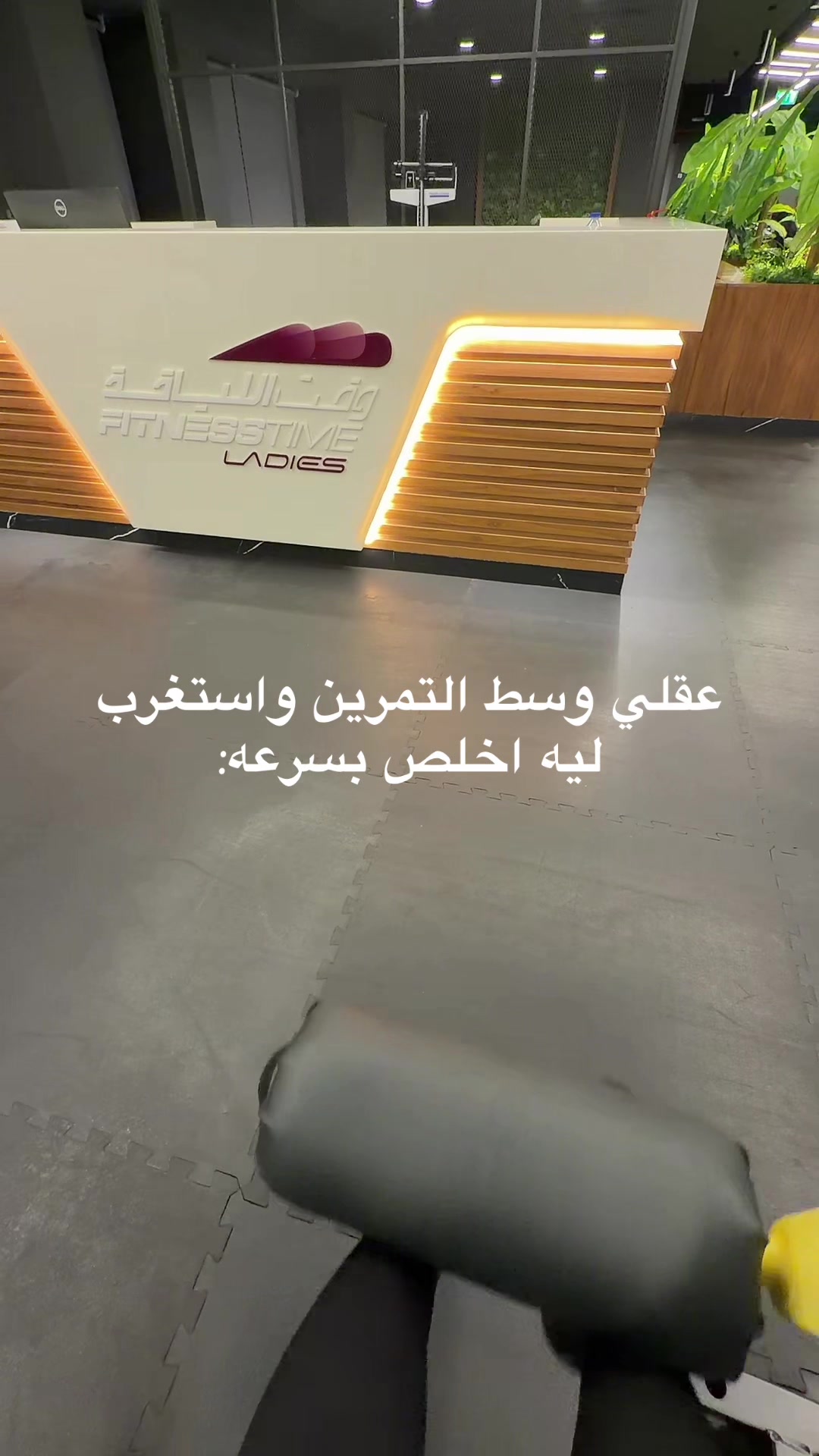 @ساره يوسف