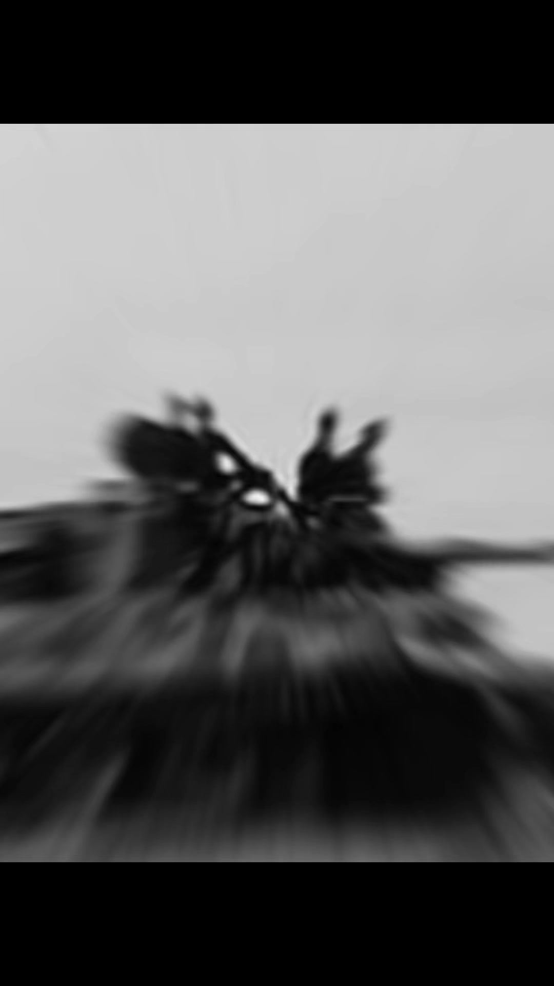 @PanzerJack