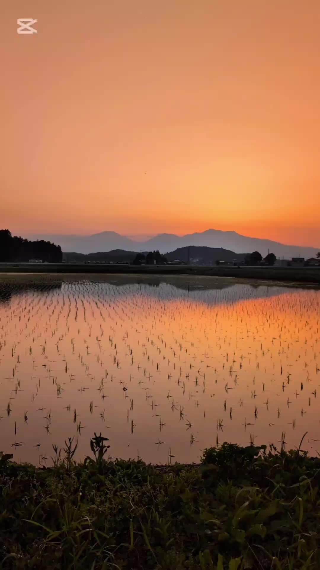 @バネ