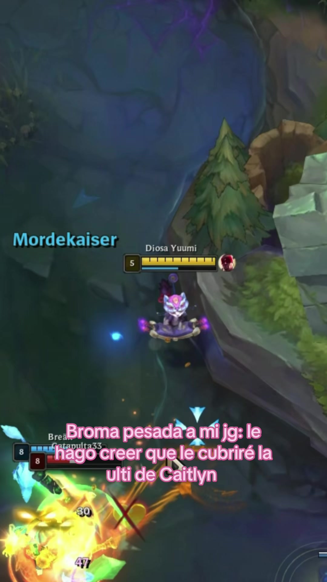 @Diosa Yuumi