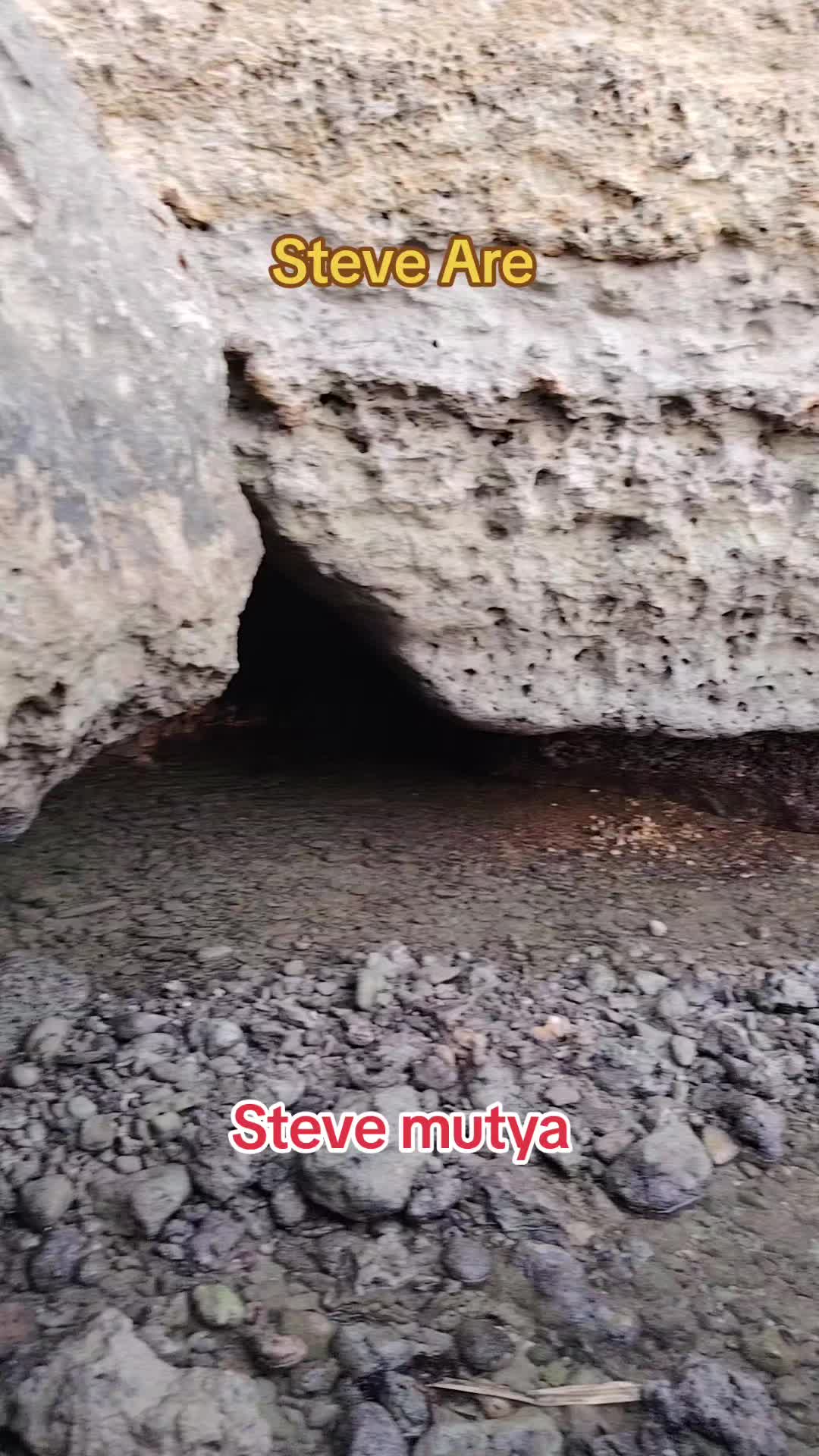 @Steve Mutya