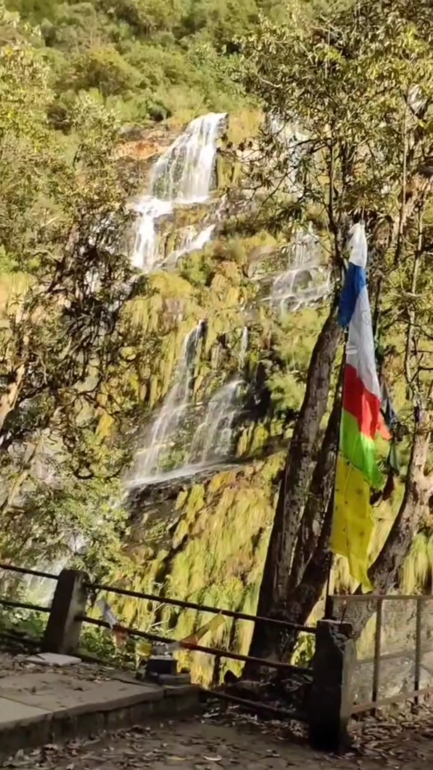 @Sandip Paudel