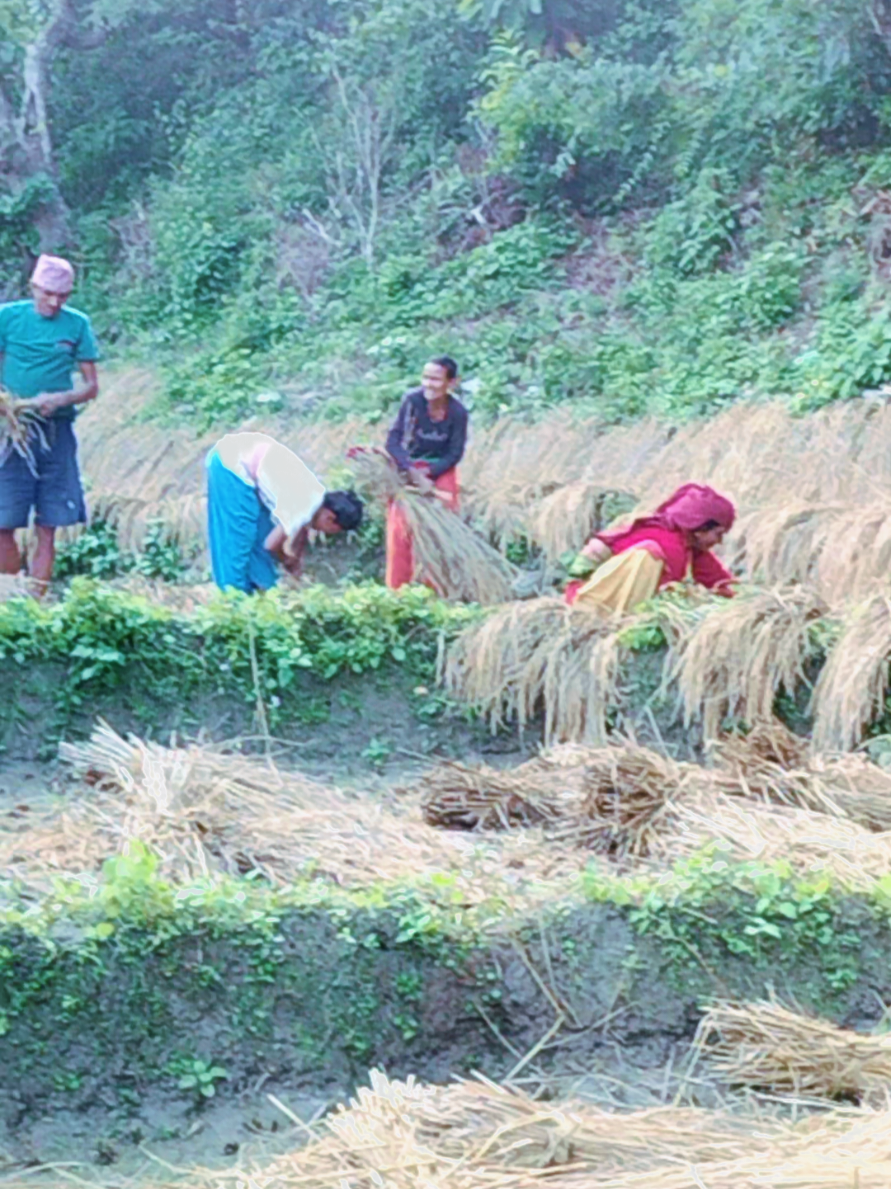 @Amrit Gorkhali (Adhikari)