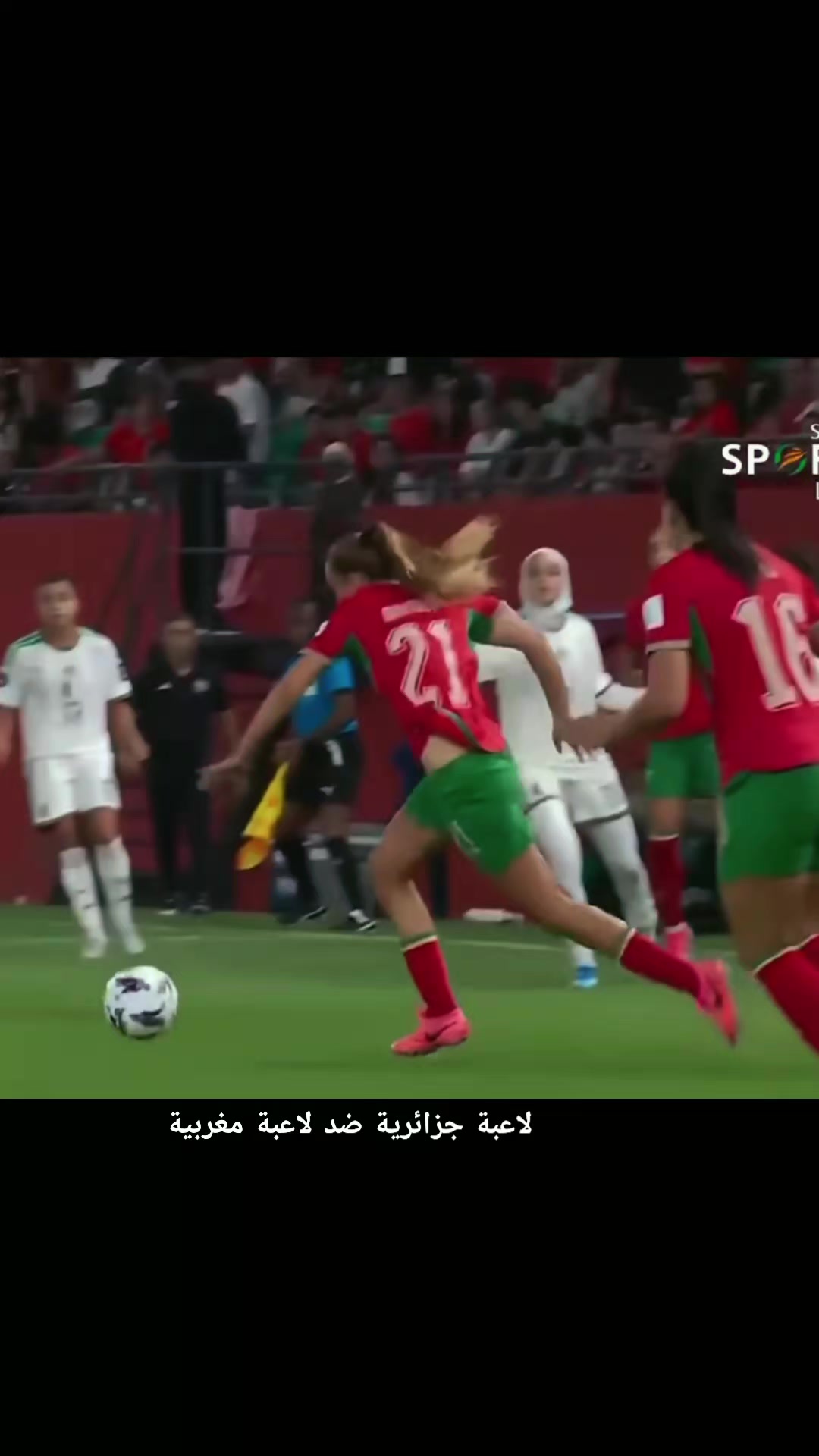 @🇩🇿