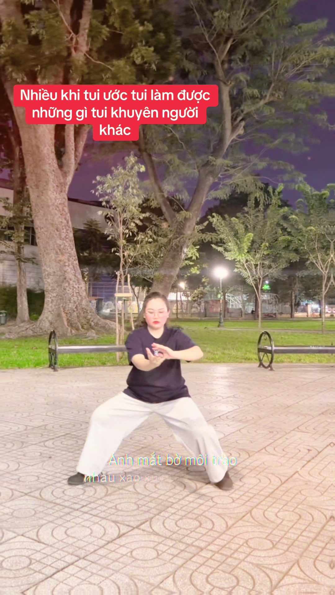 @Nie tập Thái Cực Quyền