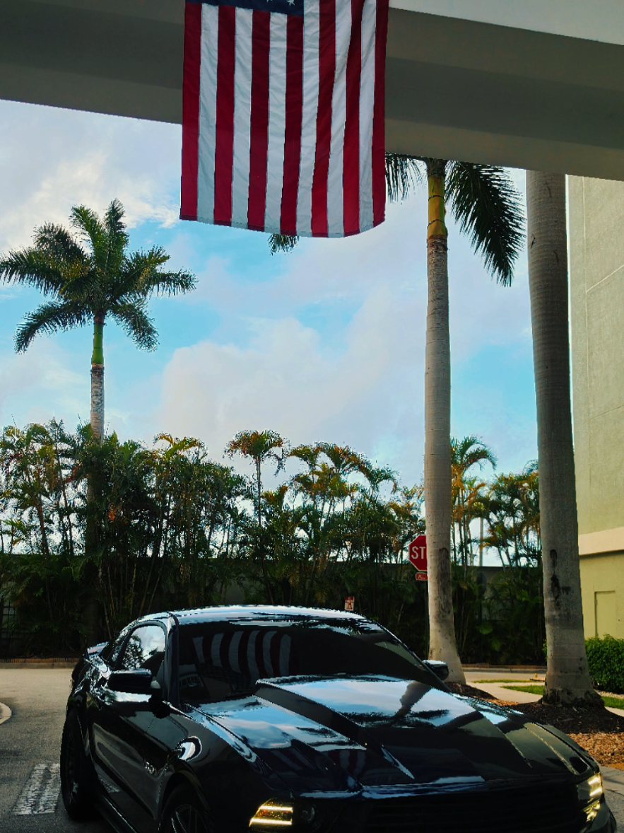 @Mustangchick5.0