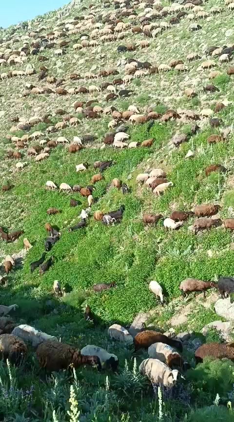 @Emrah Karapınar