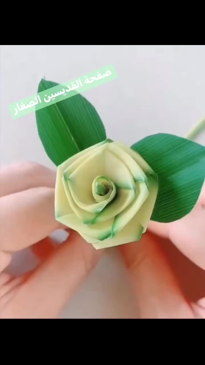 @أرثوذكسي التعليم
