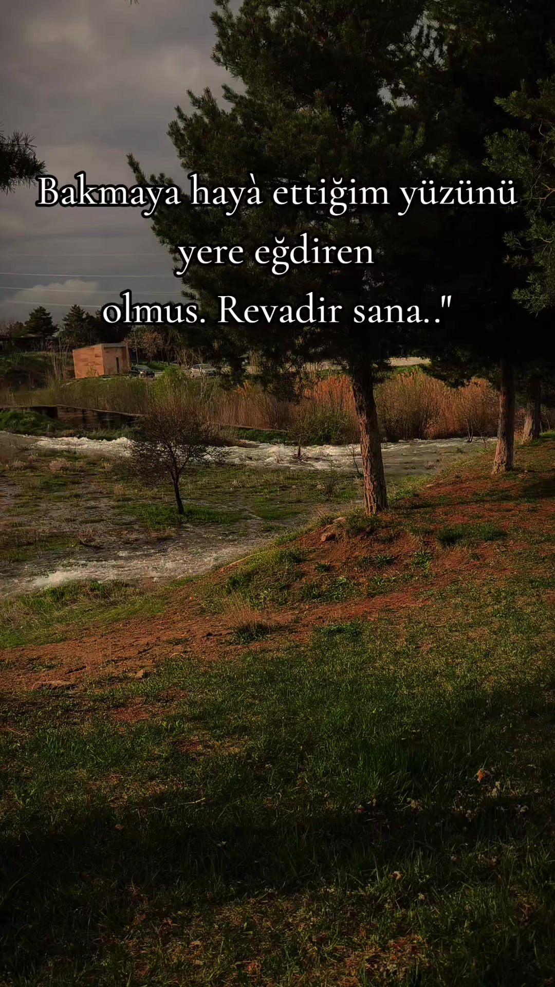 @ミ★ Ne&Ccedil;E🍁 ZOZAN ★彡