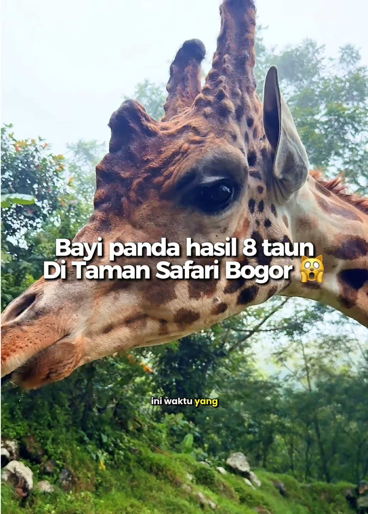 @hildaayp