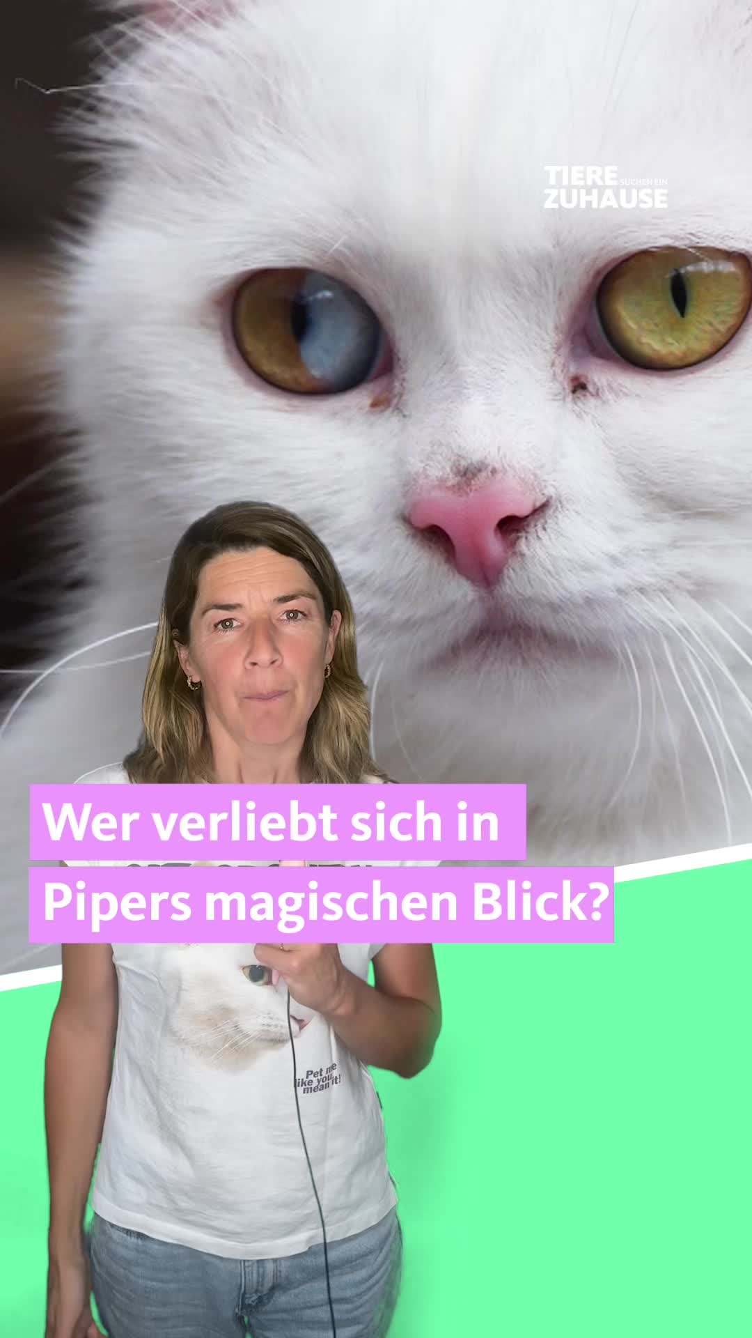 @Tiere suchen ein Zuhause
