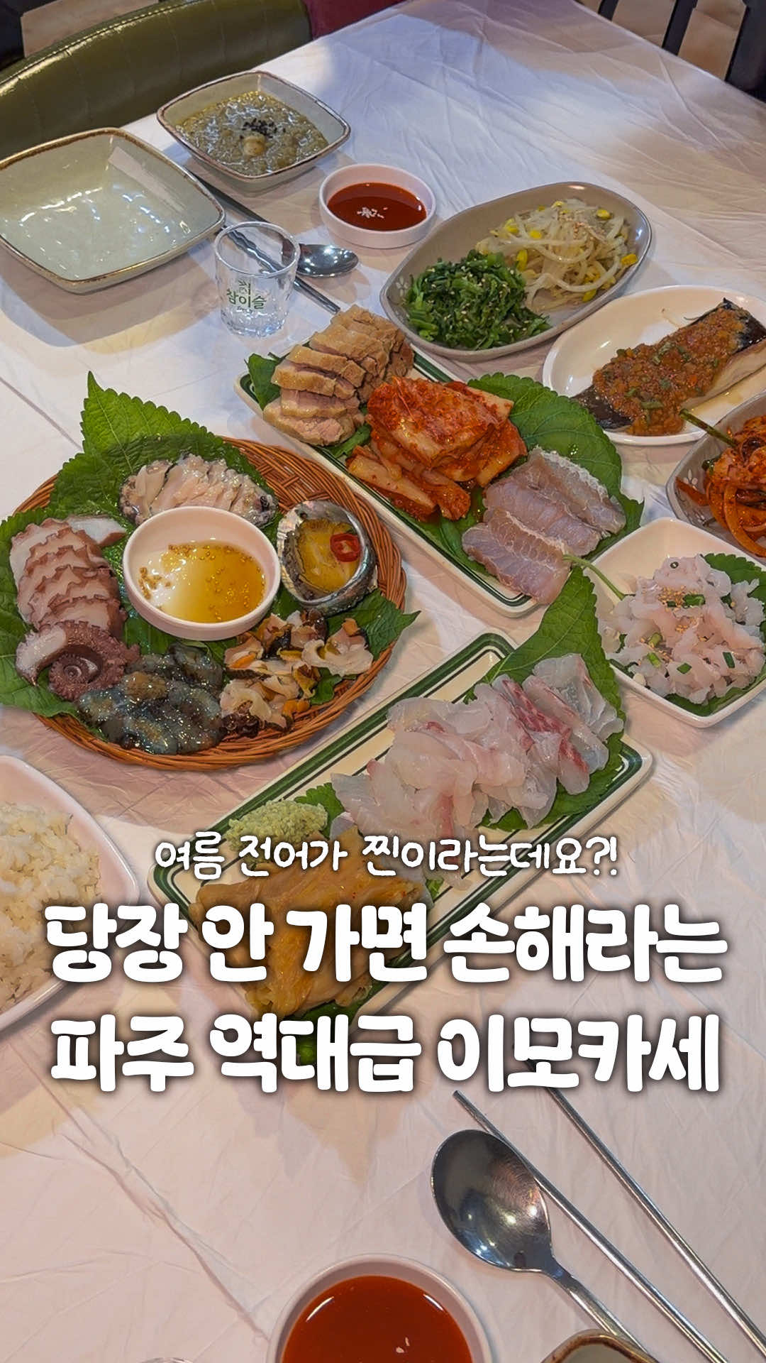 @일산갈고양