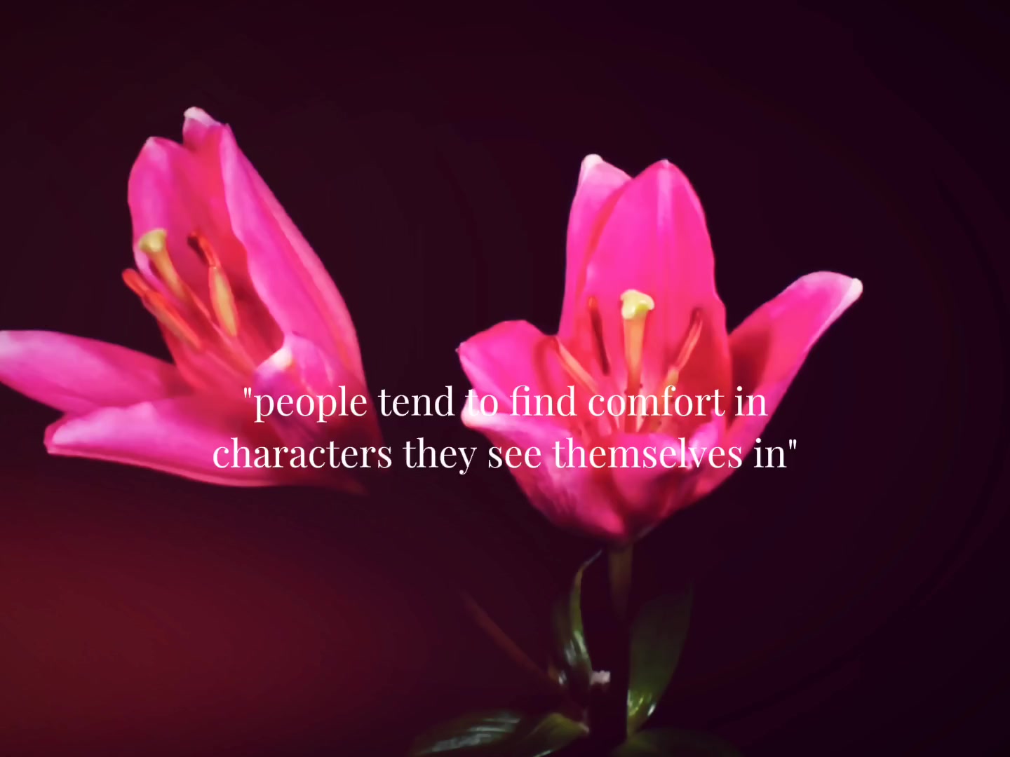 @✨️