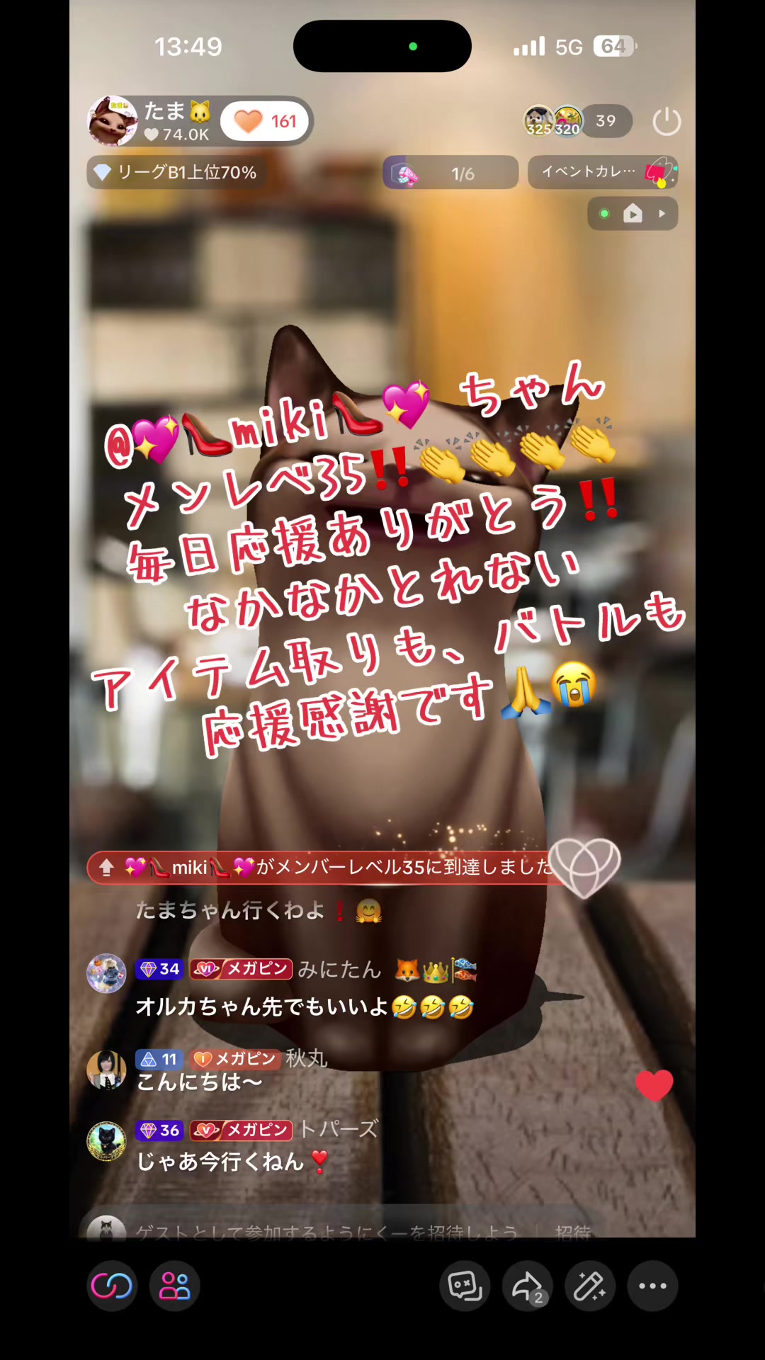 @たま🐱