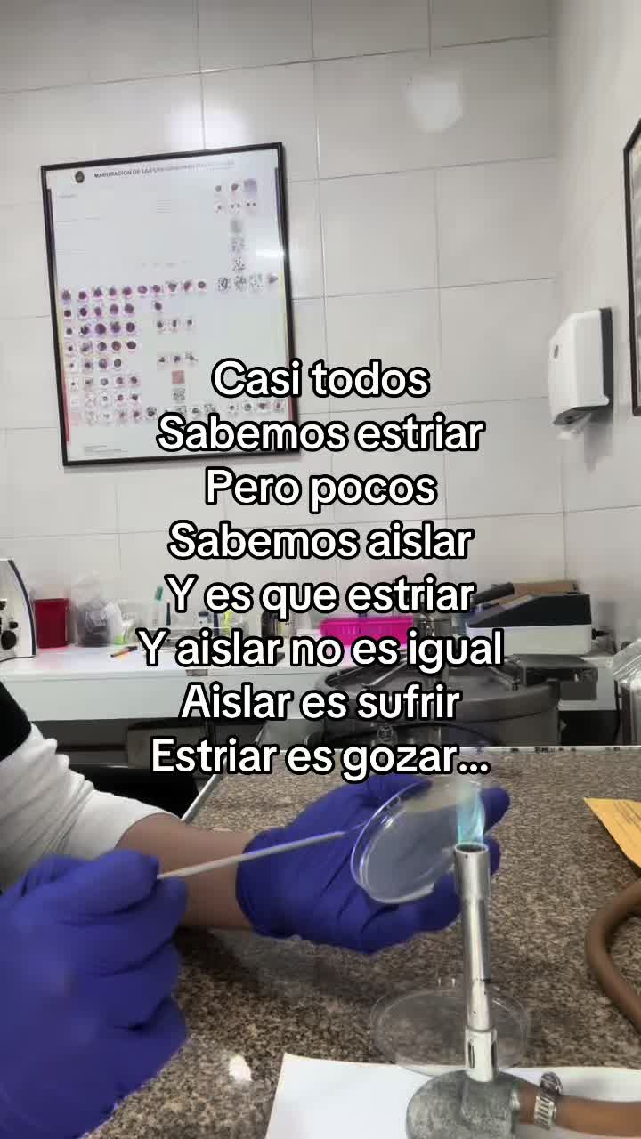 @faustgoethe279