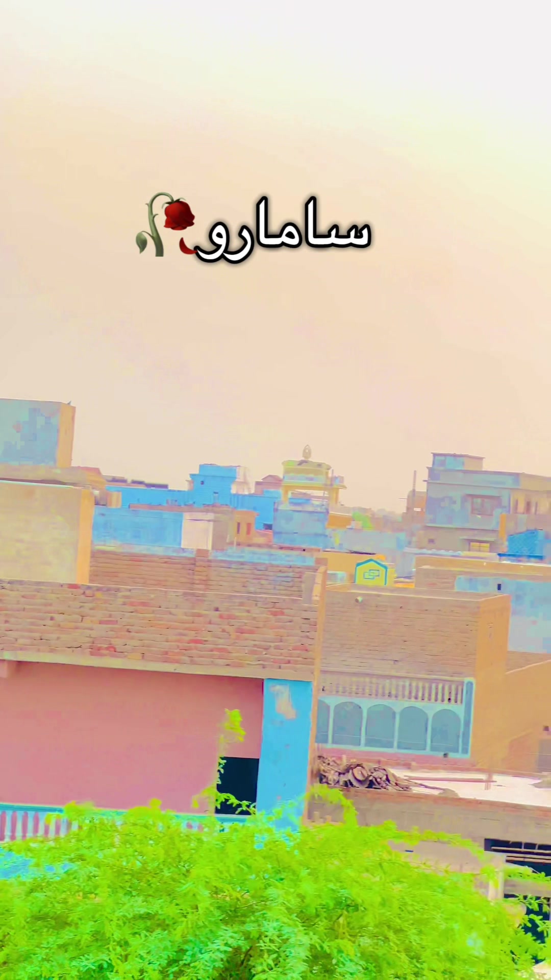 @no____nam01